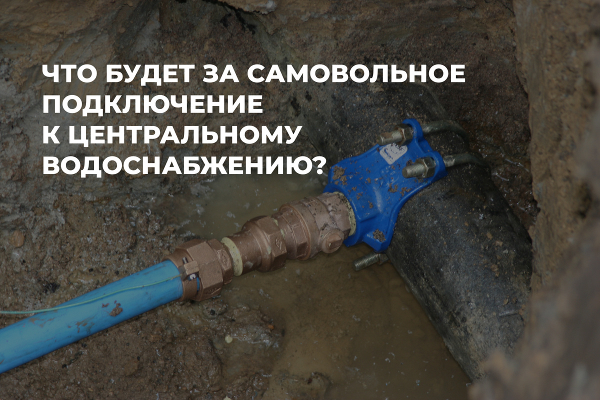 Аминстия